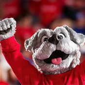 Brand Mascot Thumbnail