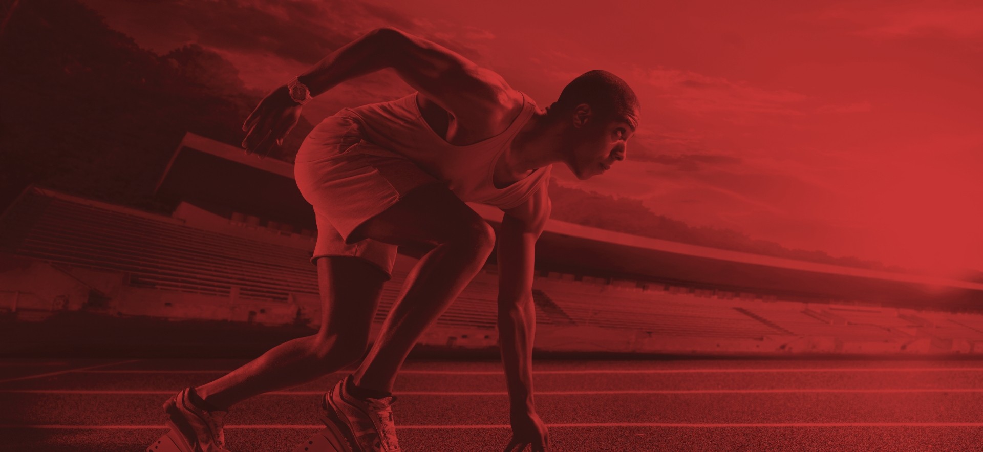 American specialty banner