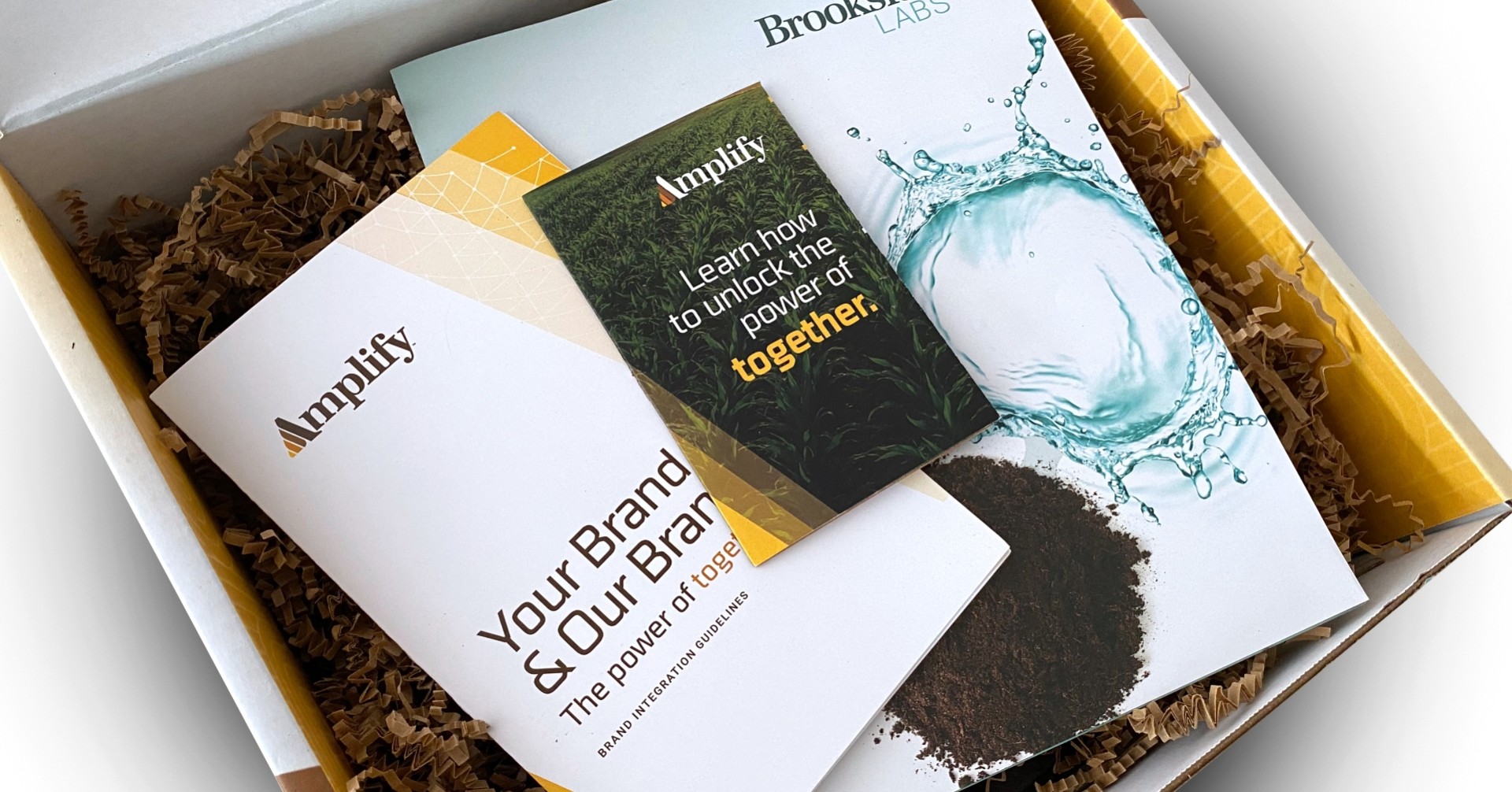 Amplify customer experience box