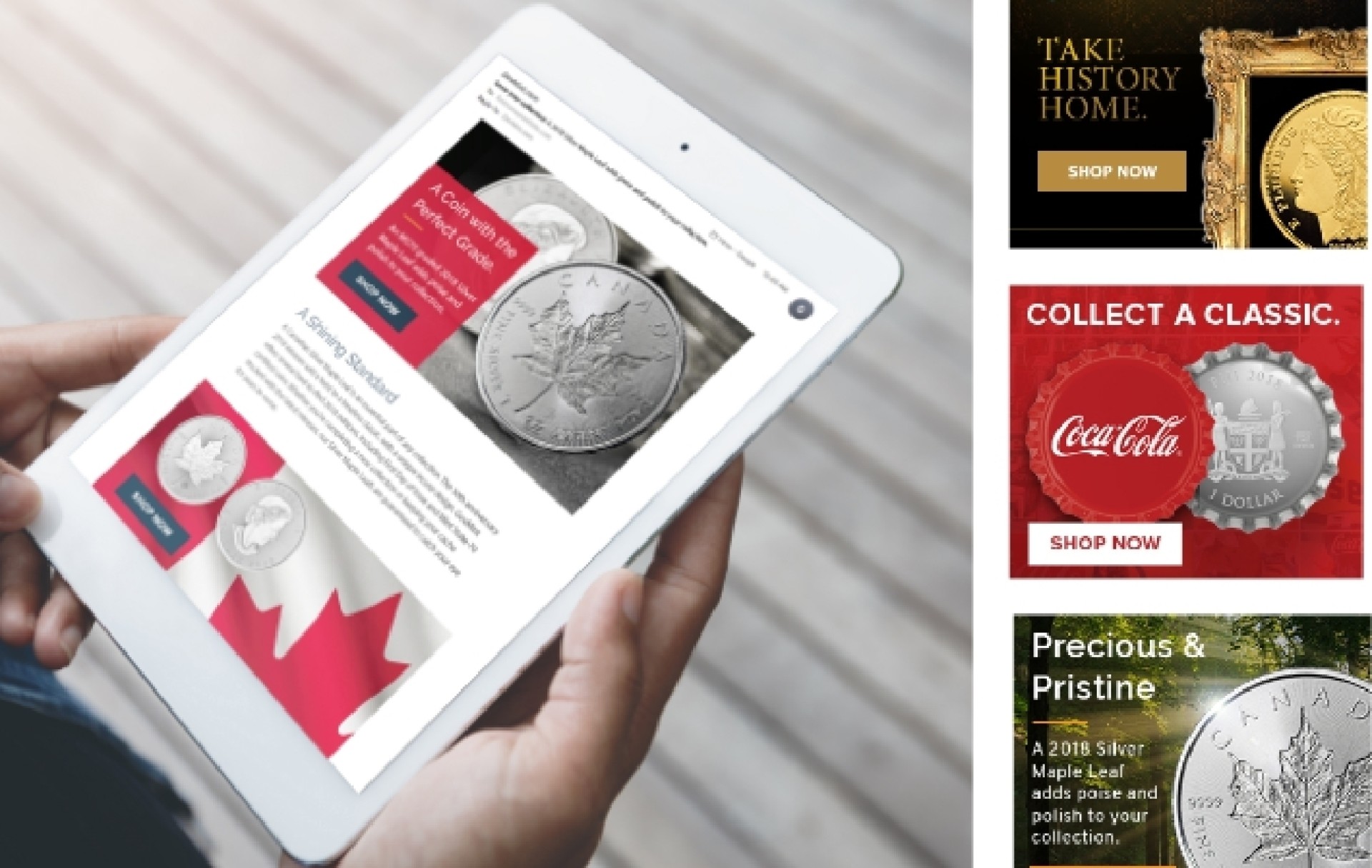 Asset marketing web grid