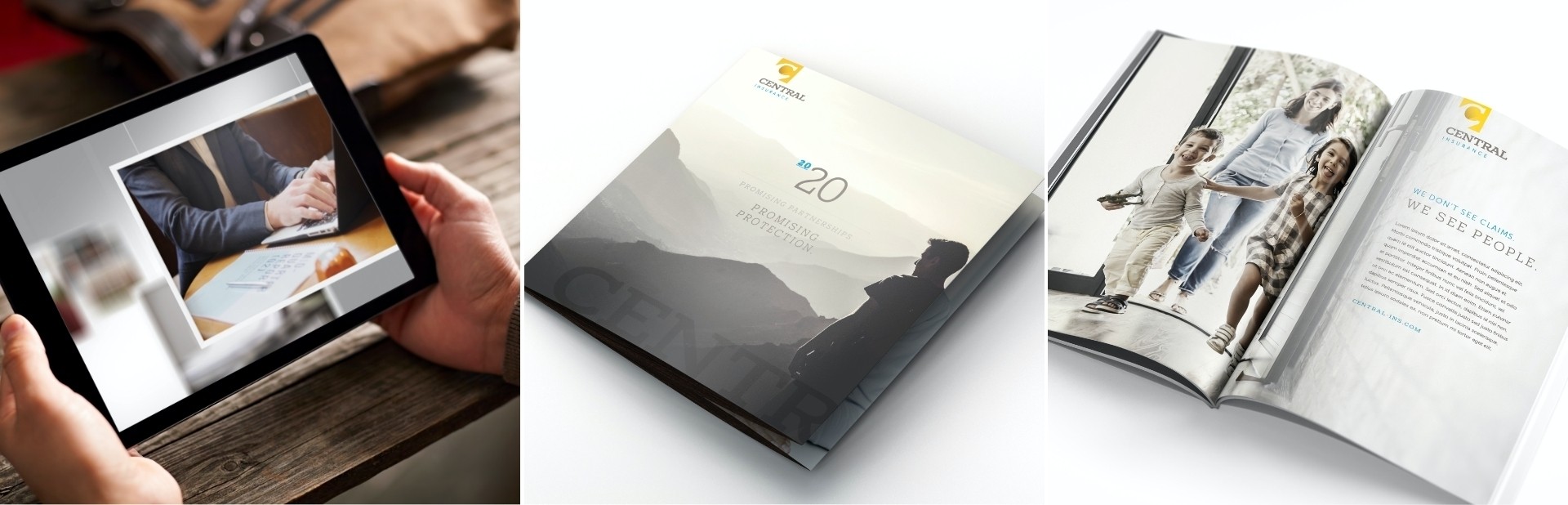 Central insurance grid