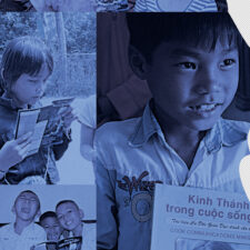 David c cook campaign